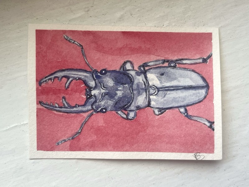 ACEO Original, Purple Stag Beetle, Watercolor Mini Painting 3.5in by 2.5in Art.