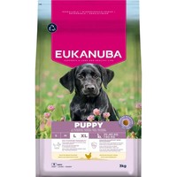 Eukanuba Puppy Large Breed Huhn Trockenfutter Hund 2 X 3 Kg
