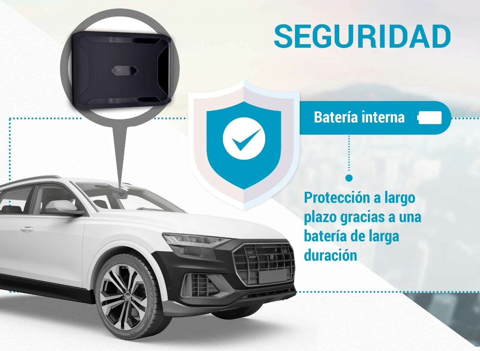 Imagen 4 de 6
