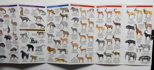 African Wildlife A Folding Pocket Guide to 130 Familiar Species Safari Zoo LN - Imagen 4 de 4
