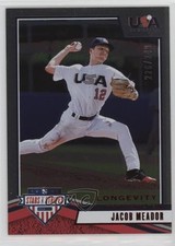 2019 Panini USA Baseball Stars & Stripes Longevity Ruby /249 Jacob Meador 0l2