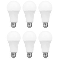 6 X Spectrum Led Birnen 18W = 120W E27 Matt 1800Lm Tageslicht 6000K Kaltweiß