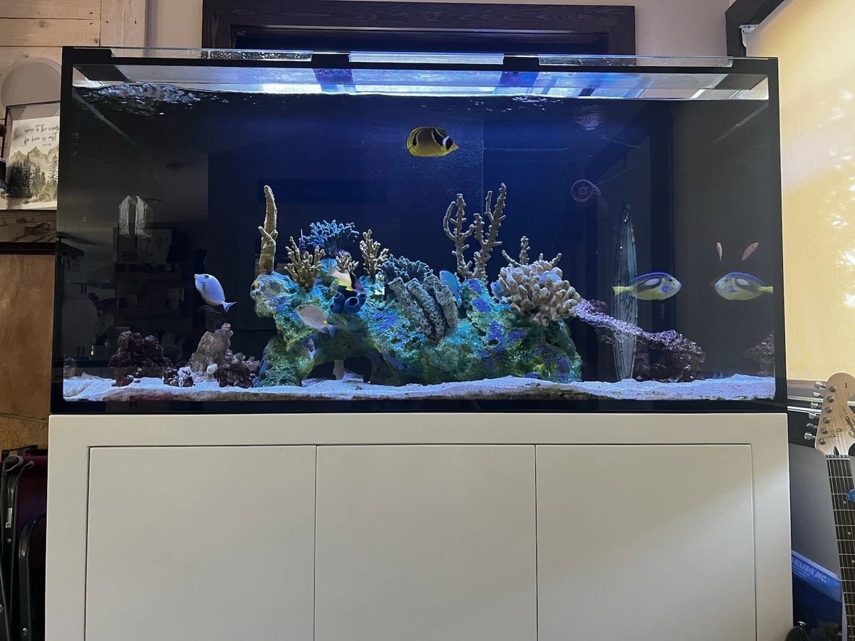 Rectangle (Standard) Aquariums & Tanks 6 ft Tank Width for sale | eBay
