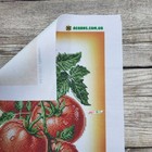 Bild 6 von 17