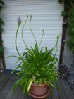 Bild 6 von 11