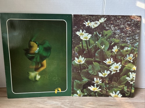 2 VTG 1970s Hangten / Wild & Wonderful Portfolio Folders Pocket Class Schedule