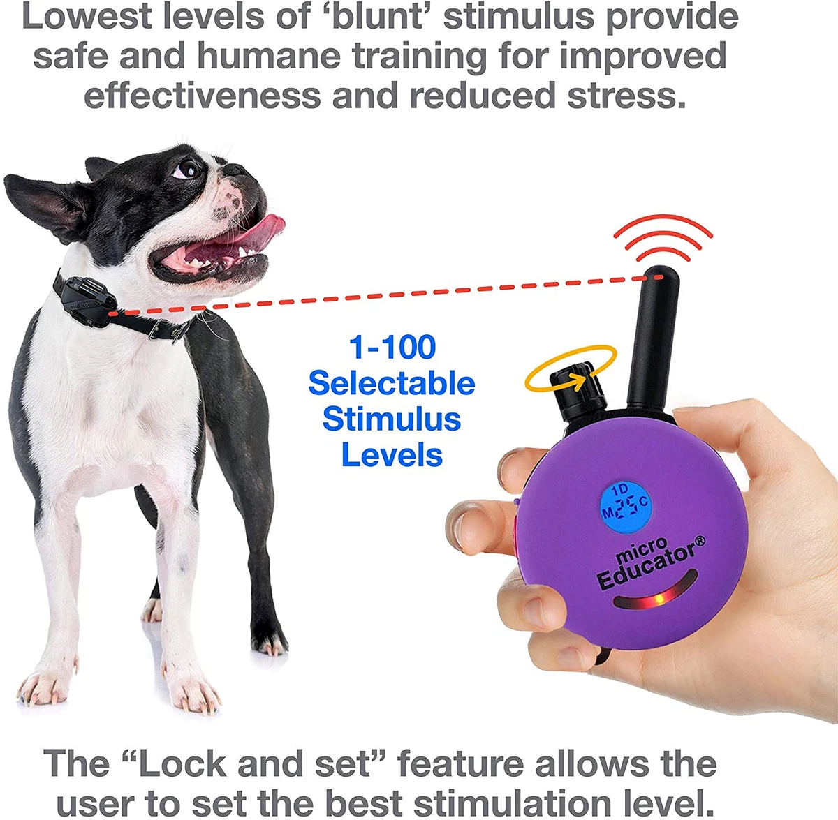E Collar Technologies ME 300 SMALL DOG Transmitter ONLY eBay