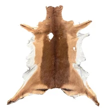 Impala Skin - Real African Impala Antelope Hide 2nd Grade Skin