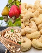 Pure 100% Organic Oven Unsalted Whole Dry Cas...