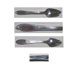 TRIUMPH 1925 GRAPEFRUIT SPOON by WM ROGERS & SON 