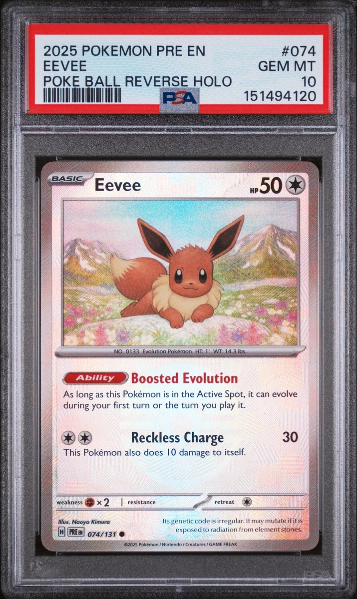 Eevee Pokémon TCG Professional Sports Authenticator (PSA