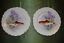 thumbnail 4  - ANTIQUE LIMOGES FLAMBEAU HAND PAINTED PLATTER AND 12 PLATES FISH GAME SET, IRIS