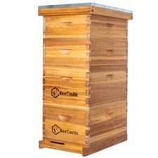 BeeCastle 10 Frame Beehive Kit Complete, Beeswax Coated, Including Beehive Frame