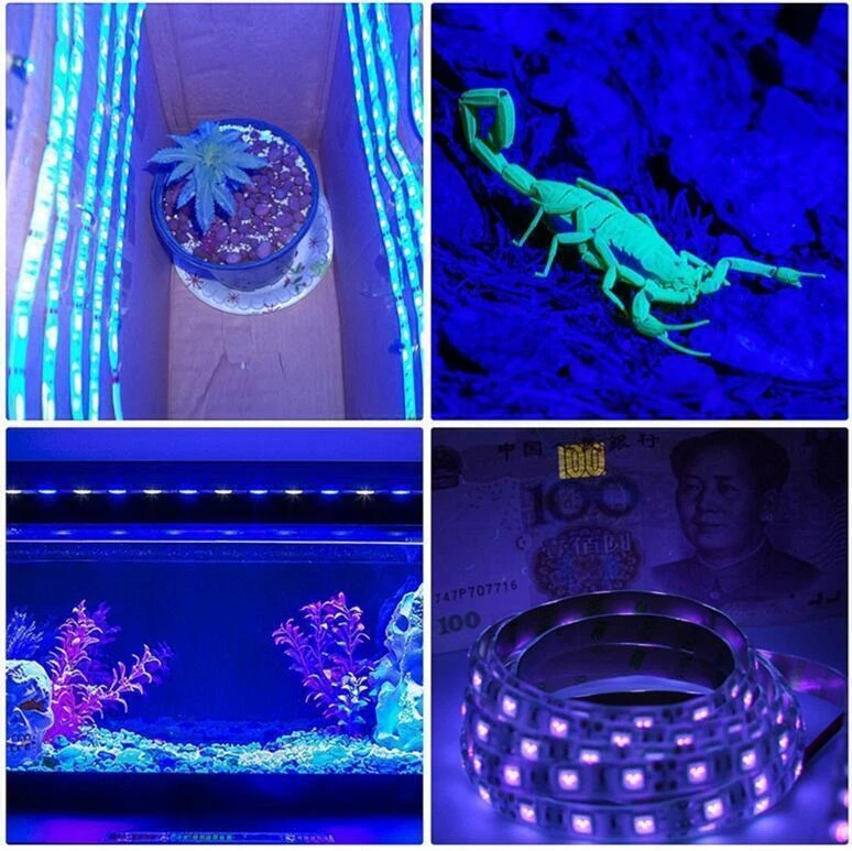 7.2W/M LED UV Light Strip Ultraviolet Flexible Purple 12V Blacklight 5M 300LEDs - Image 4 of 4