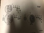 Picture 11 of 11