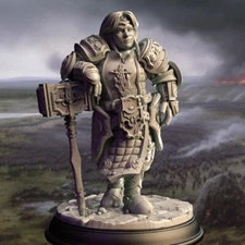 DM Stash Miniatures Dwarf Female Paladin Fighter D&D DnD Fantasy Pathfinder 32mm