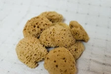Mediterranean Sea wool Sponges 4 1/2"- 5"