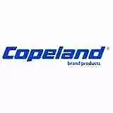 Copeland 529-0060-24 Power Cable W/Molded Plug
