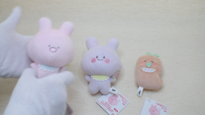 Asamimichan Plush Mascot Keychain Complete Set 3pcs | Bag Charm