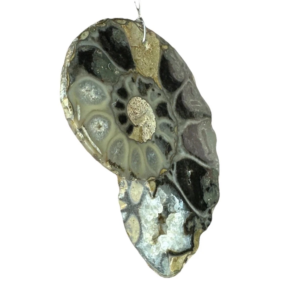 Raro ÚNICO Collar Colgante Gigante Cuarzo Geoda Cristal Fósil Amonita Foto 2 de 4