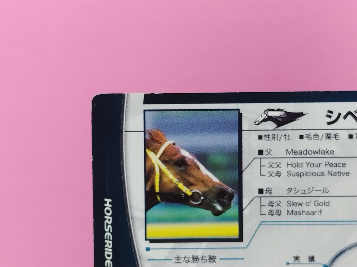 Siberian Meadow Thoroughbred HorseRiders Card Konami 2008