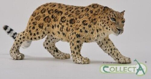 Collecta Wildlife Model - 88708 Amur Leopard