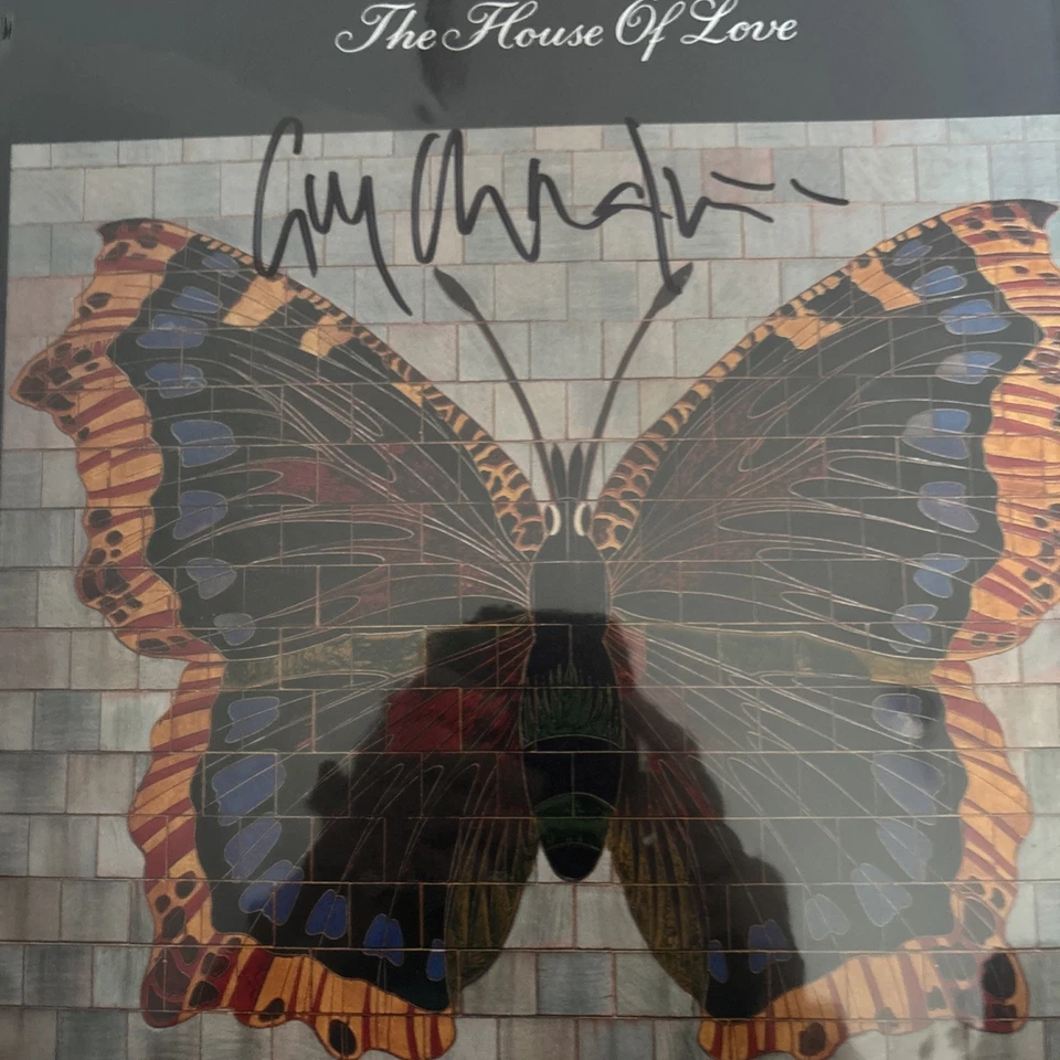 The House of Love - Babe Rainbow (2023) *NEW & signed print - Image 4 of 4