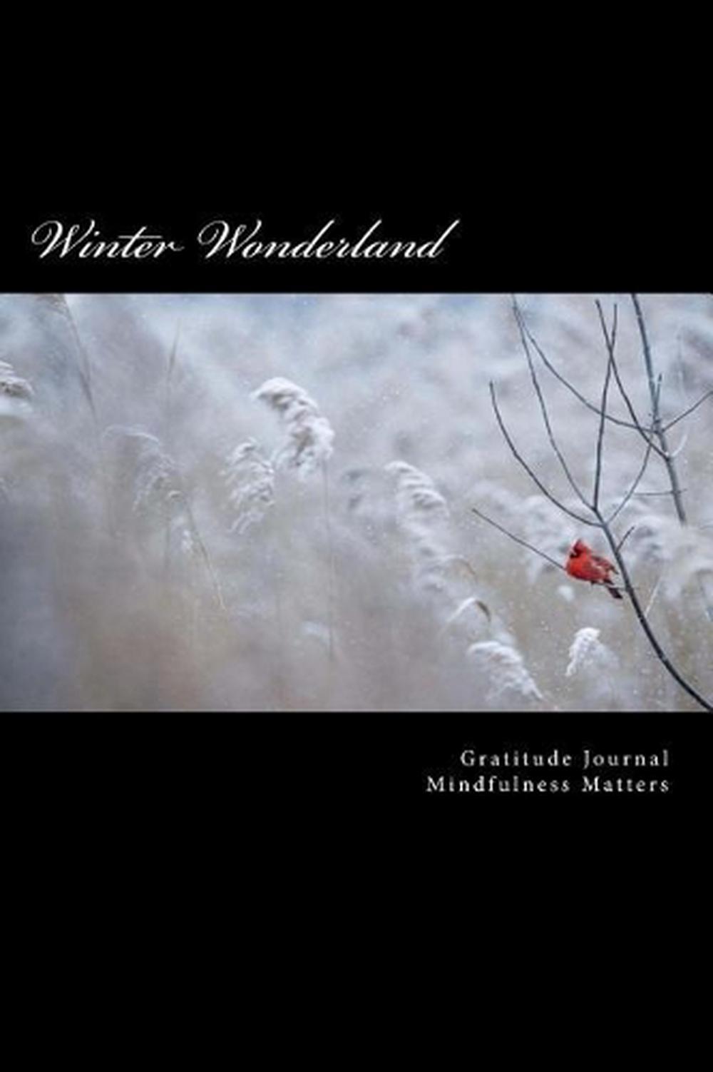 Winter Wonderland: Mindfulness by Sunni Daiighs (English) Paperback Book