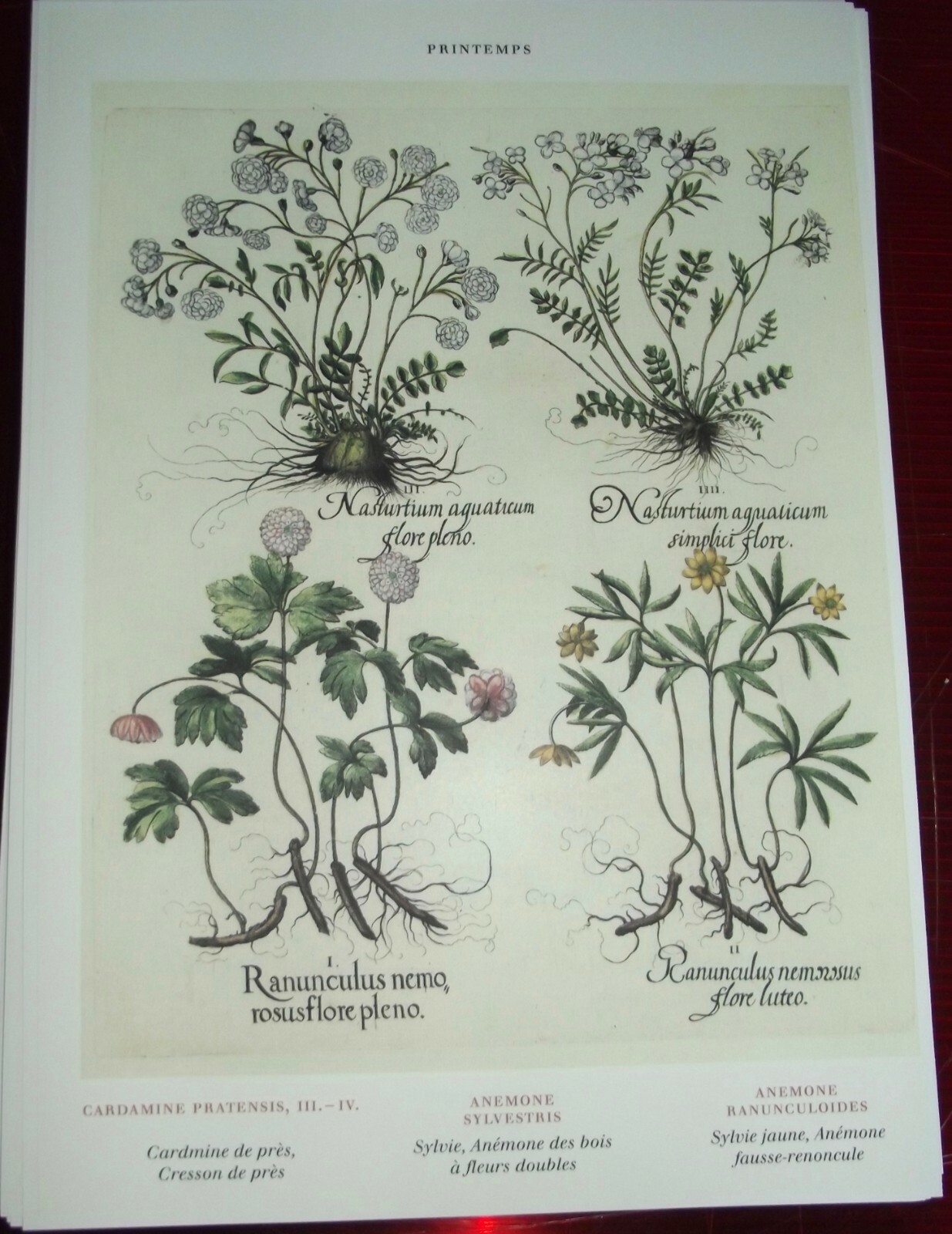Tableau Pédagogique Bouasse-Lebel Sur La Sériciculture (élevage Du Ver à Soie) - Affiche Scolaire Vintage - Occasion