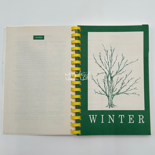 Was um alles in der Welt werden wir zum Abendessen essen '87 Kochbuch von Sarah Drummond - Bild 6 von 8