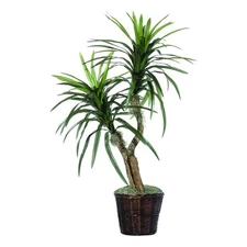 Vickerman 4' Artificial Marginata Bush with Rattan Basket in Dark Green