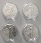 2013 1 oz Silver American Eagles ( Lot Of 4)