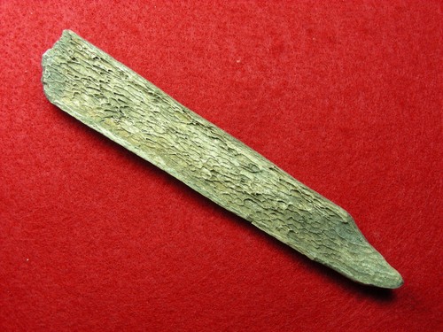 BONE AWL 5-1/2" KANSAS Authentic Indian Artifacts - Picture 2 of 16