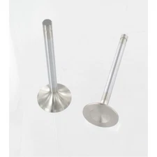 Elgin Exhaust Valve Set HPV-18Q8; .3715 x 5.375 x 1.88 Stainless for BBC 8pcs