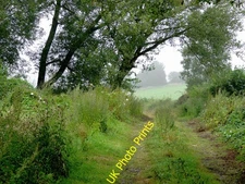 Photo 12x8 Farm Track by Spring Hill, Wolverhampton Lower Penn The track a c2016