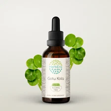 HerbEra Gotu Kola Alcohol-FREE Tincture, Organic Gotu Kola (Centella Asiatica)