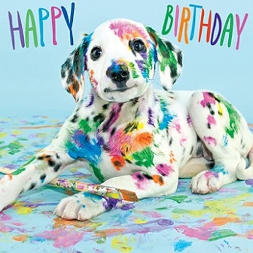 Humorous Animal Photo Card Funny Dog Birthday Card - 6x6 Inch Blank ...