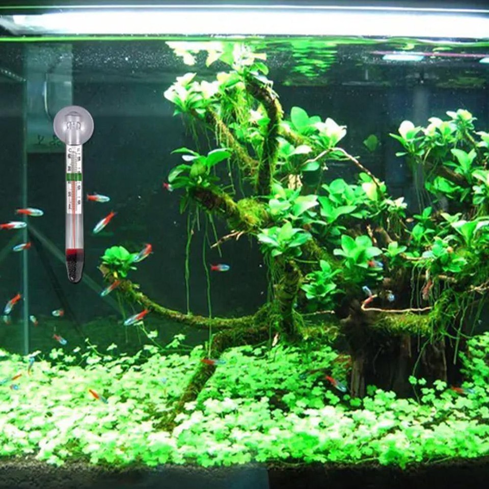 Fish Tank Turtle Tank Thermometer Suction Cup Float High Temperature