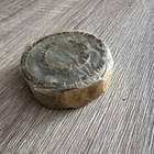 Bild 6 von 6