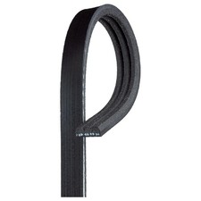 Gates Keilrippenriemen A0009935202 24807504