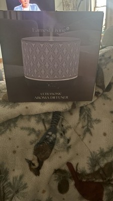 Ultrasonic Essential Oil Aroma Diffuser