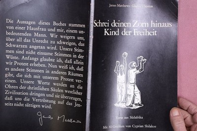 429404 James Matthews SCHREI DEINEN ZORN HINAUS KIND DER FREIHEIT Druck- und