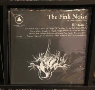 The Pink Noise Birdland Sacred Bones Experimental Noise New wave