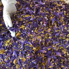 Ceylon Cut Blue Lotus Nymphaea Caerulea 100  Hand Picked Herbal Organic Tea