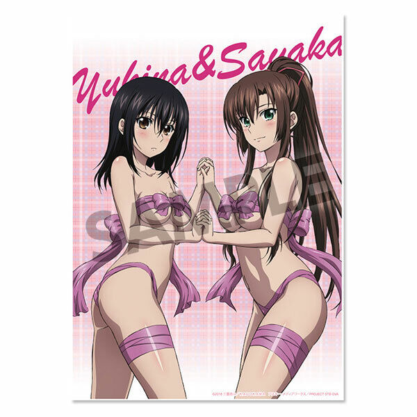 Strike the Blood Yukina Himeragi Universal Cloth Playmat Desk mat