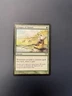Glimpse of Nature Champions of Kamigawa Regular Rare Moderately Played MP MTG