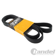 CONTINENTAL KEILRIPPENRIEMEN 6PK995 EXTRA passend für MAZDA 3