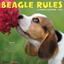 Beagle Rules 2026 12" x 12" Wall Calendar (free shipping)