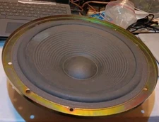 Technics 10” Replacement Woofer EAS30PL312A6 Tested/ Working From SB-A26