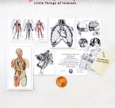 1:6 Scale MEDICAL OFFICE DOCUMENTS 12 Pc in Miniature Playscale Doctor Nurse